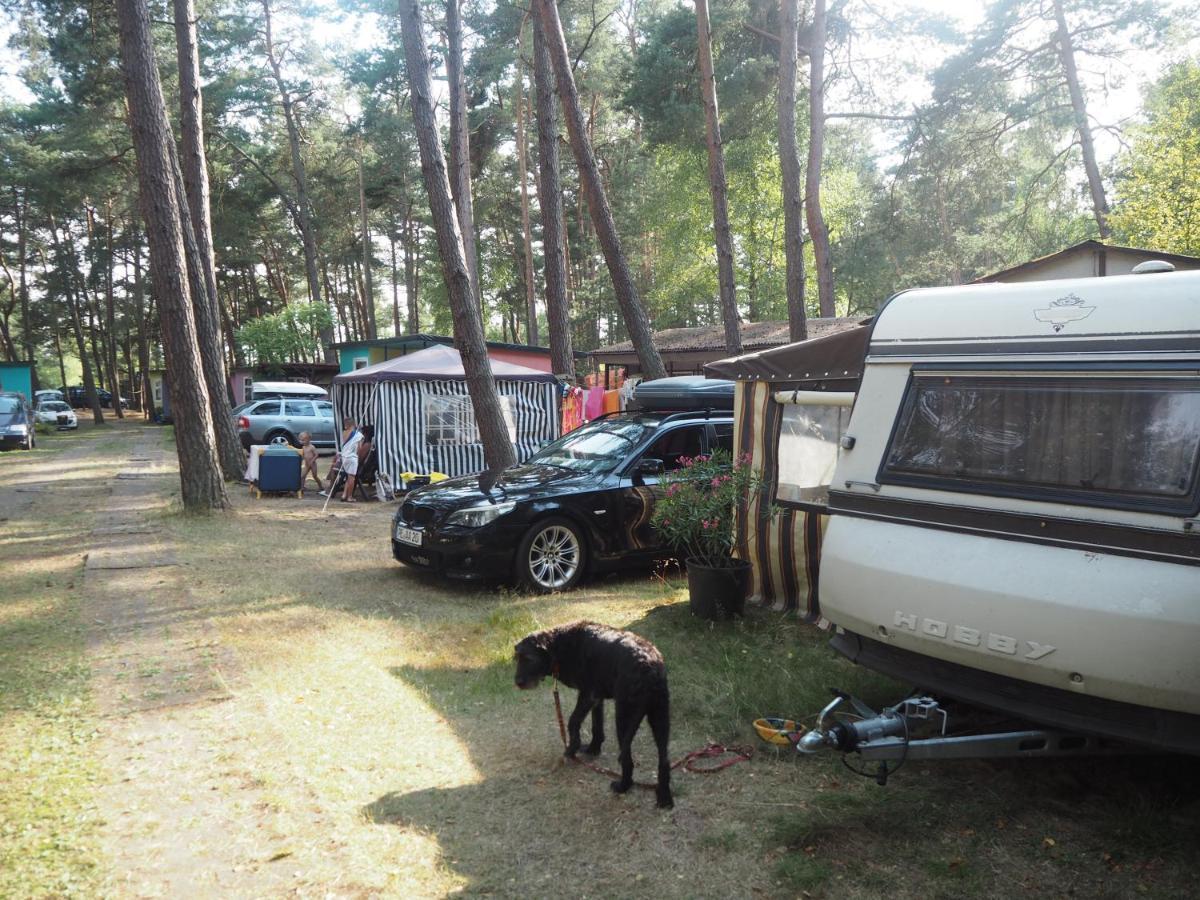 Kemping Camping Anastazja Międzywodzie