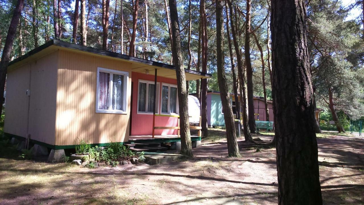Kemping Camping Anastazja Międzywodzie